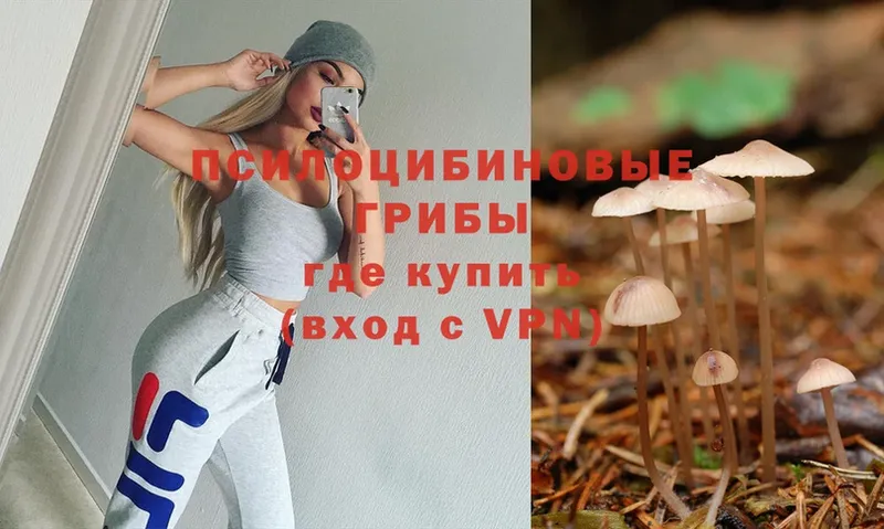 Псилоцибиновые грибы Cubensis Кировград